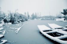 当远古“第一杀手”遇现代“免疫紊乱”：“中医利盾”护航有方