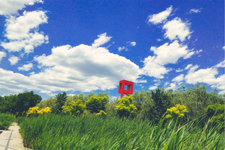 多图播报：北京第四期降糖班“上半场”回顾